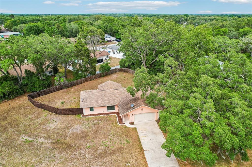 232 Cavalier Avenue Spring Hill, FL 34606 - Photo 36 of 39