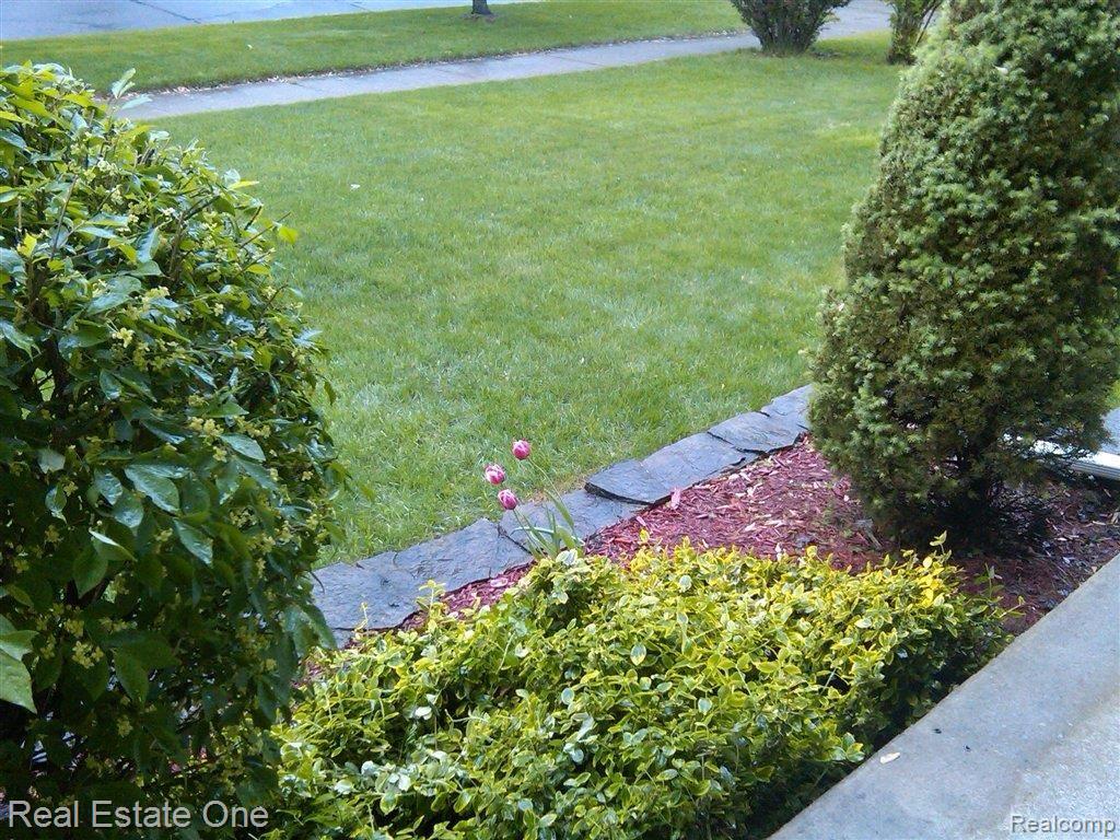 297 Winry Drive Rochester, MI 48307 - Photo 3 of 20 Beautiful Landscaping
