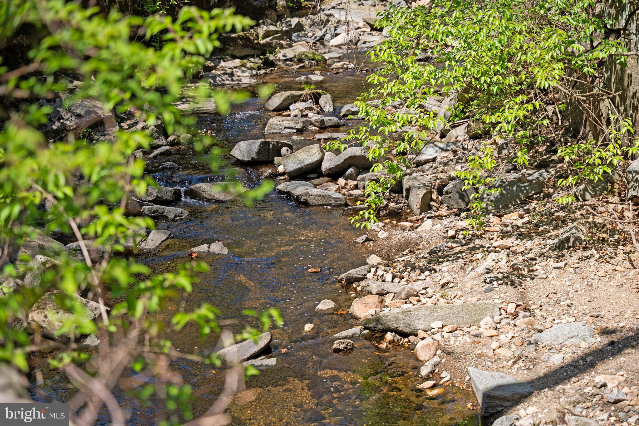 4656 Broad Branch Road Northwest Washington, DC 20008 - Photo 28 of 29 Stream across the street!