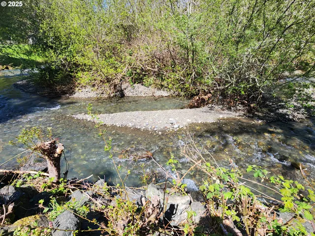 a view of a lake with a tree