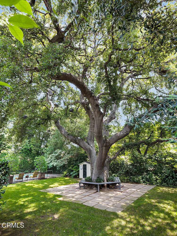 658 Chaucer Road San Marino, CA 91108 - Photo 35 of 39 a view of a backyard with a tree