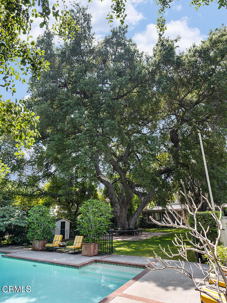 658 Chaucer Road San Marino, CA 91108 - Photo 36 of 39 a view of a park with large trees