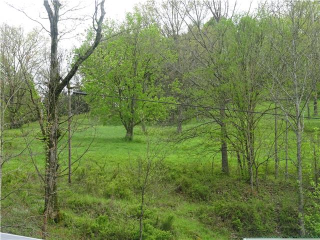 91 Martin Hollow Road Pleasant Shade, TN 37145 - Photo 16 of 20