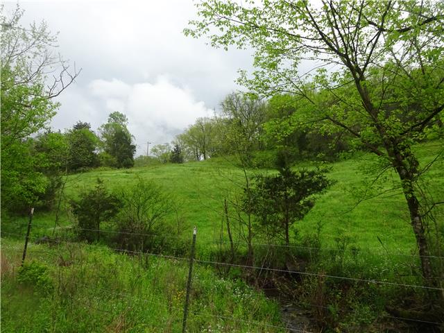 91 Martin Hollow Road Pleasant Shade, TN 37145 - Photo 18 of 20