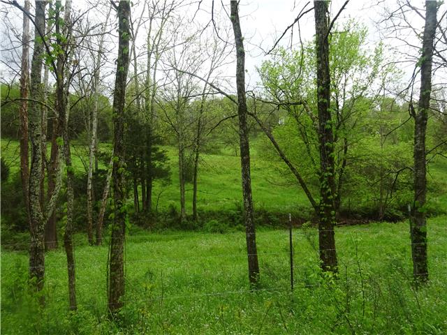 91 Martin Hollow Road Pleasant Shade, TN 37145 - Photo 19 of 20