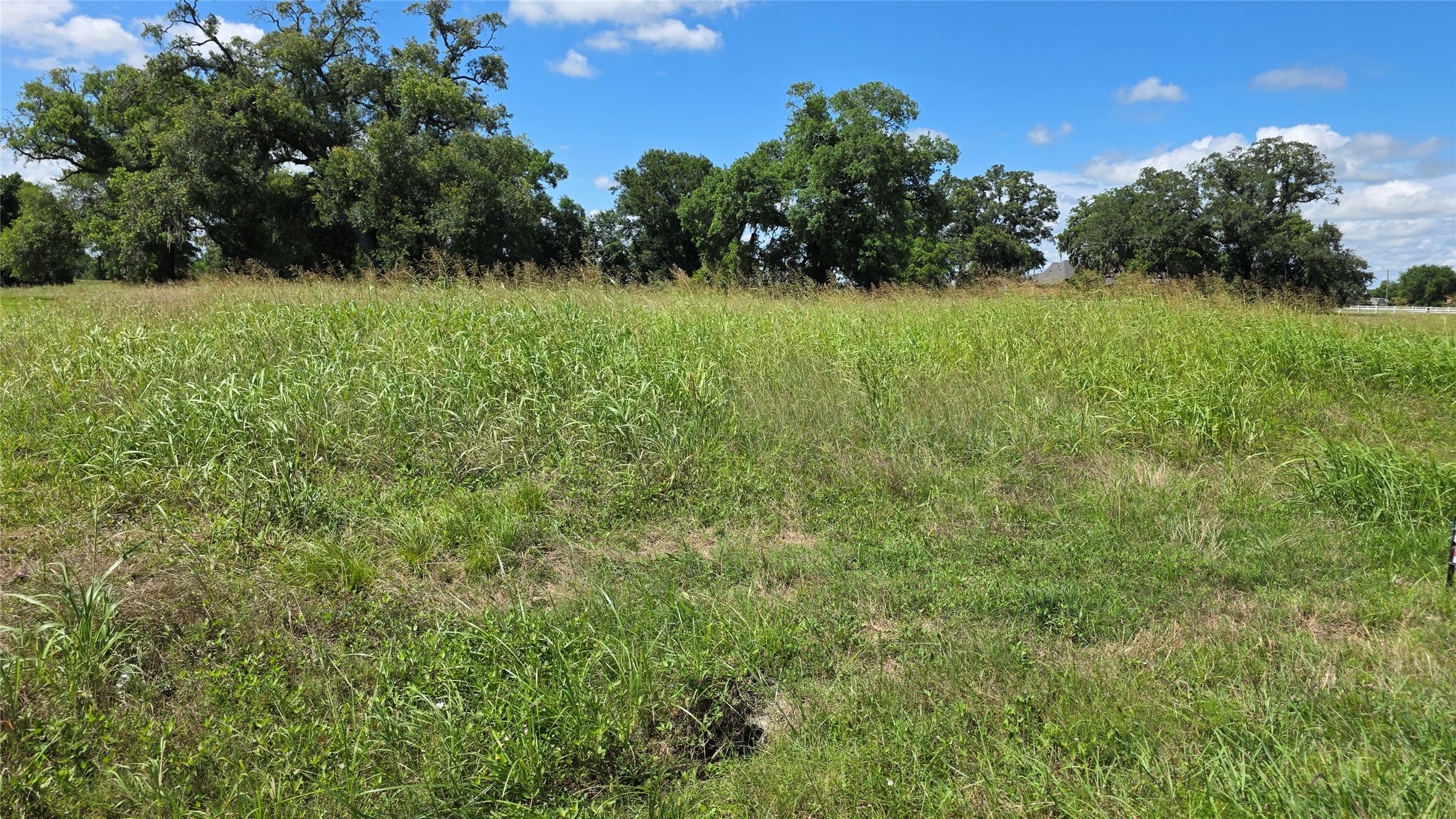 235 Cattle Drive Trail Angleton, TX 77515 - Photo 2 of 8 a view of a lush green space