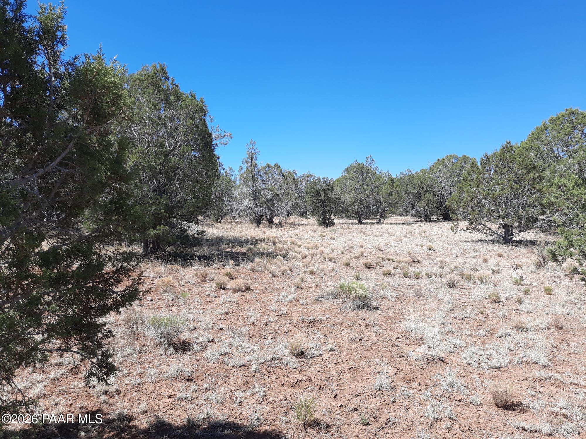 3 J Off Duffy Road Seligman, AZ 86337 - Photo 9 of 12 20220612_101452