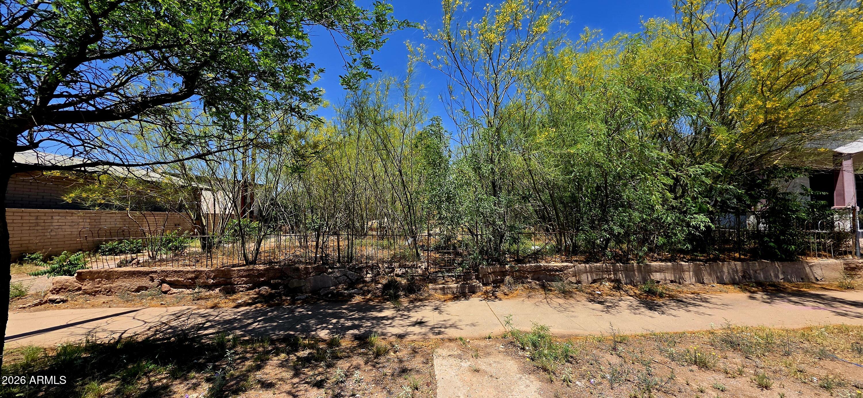 a view of outdoor space yard and tree