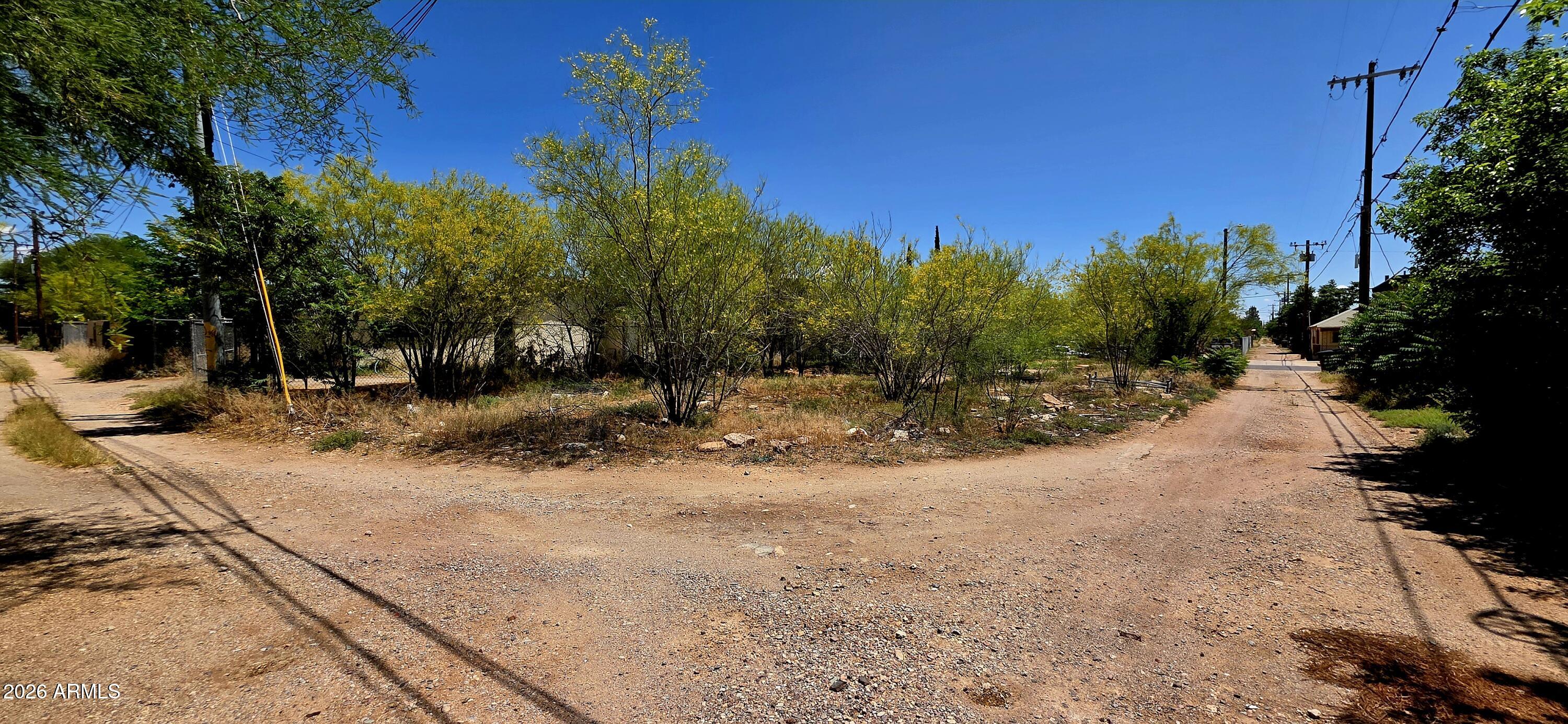 626 East 7th Street, Unit 9 Douglas, AZ 85607 - Photo 5 of 7 a view of a yard with plants