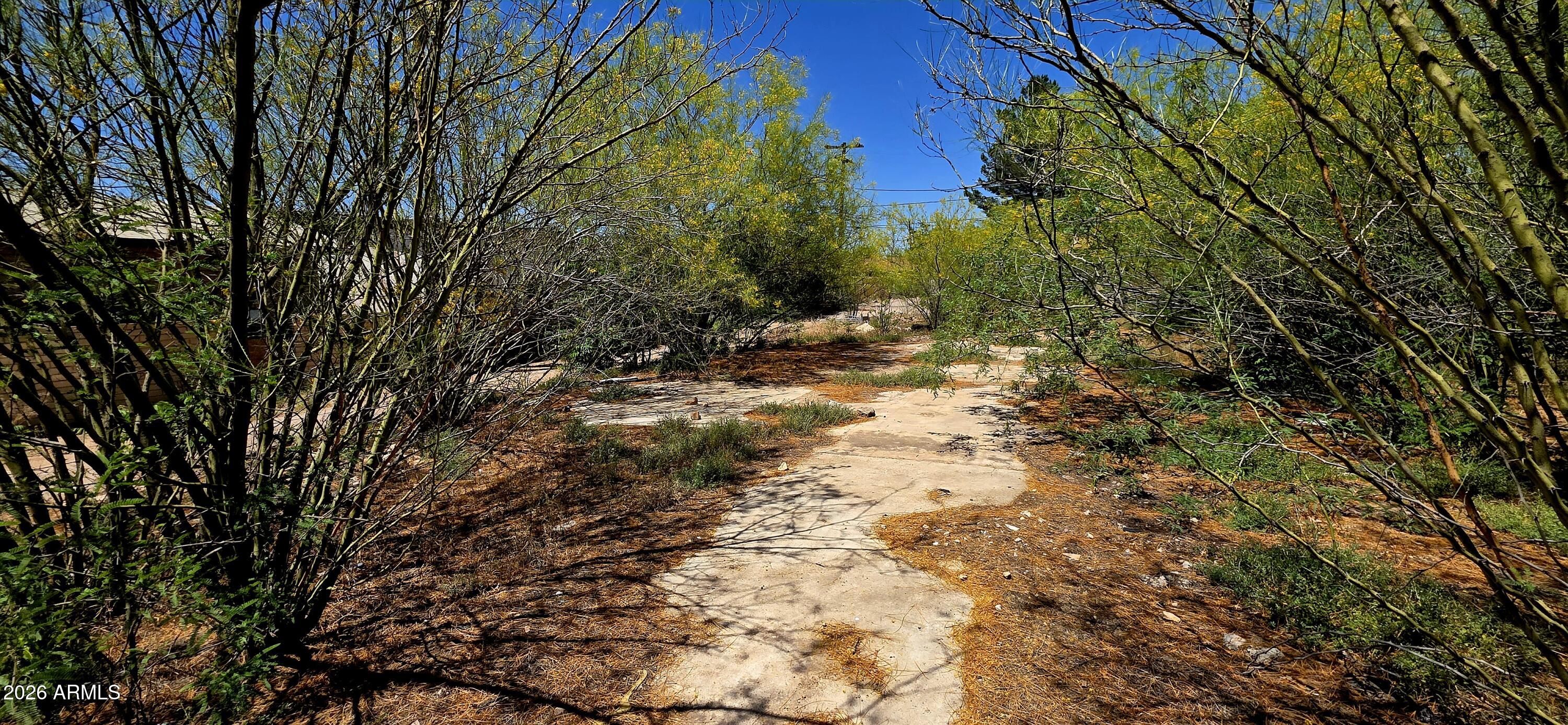 626 East 7th Street, Unit 9 Douglas, AZ 85607 - Photo 6 of 7 a view of a yard with trees