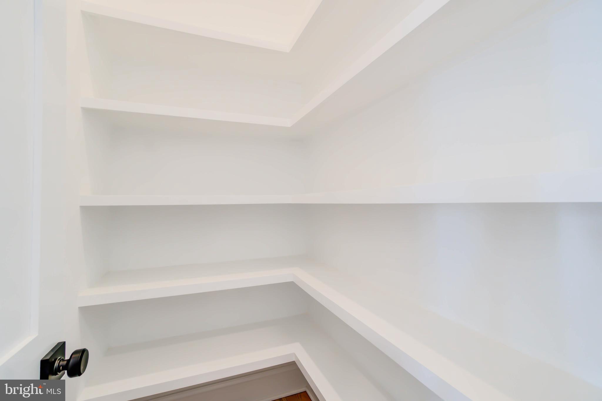 7408 Pyle Road Bethesda, MD 20817 - Photo 24 of 81 a view of an empty walk in closet