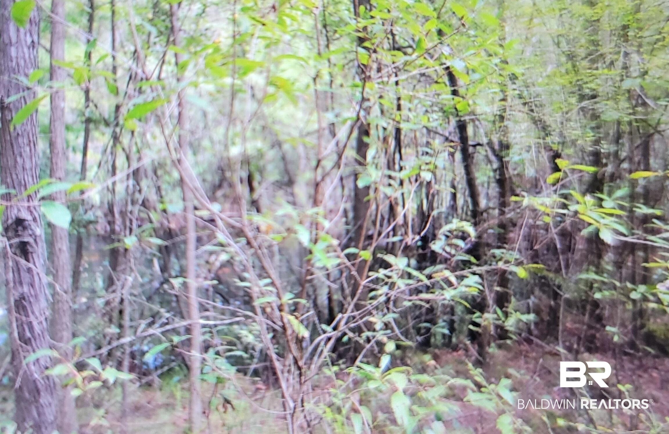 0 Juniper Road Seminole, AL 36574 - Photo 24 of 26