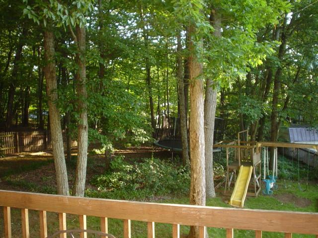 2962 Tree Swallow Road Roanoke, VA 24018 - Photo 18 of 21 a balcony with trees in front of it