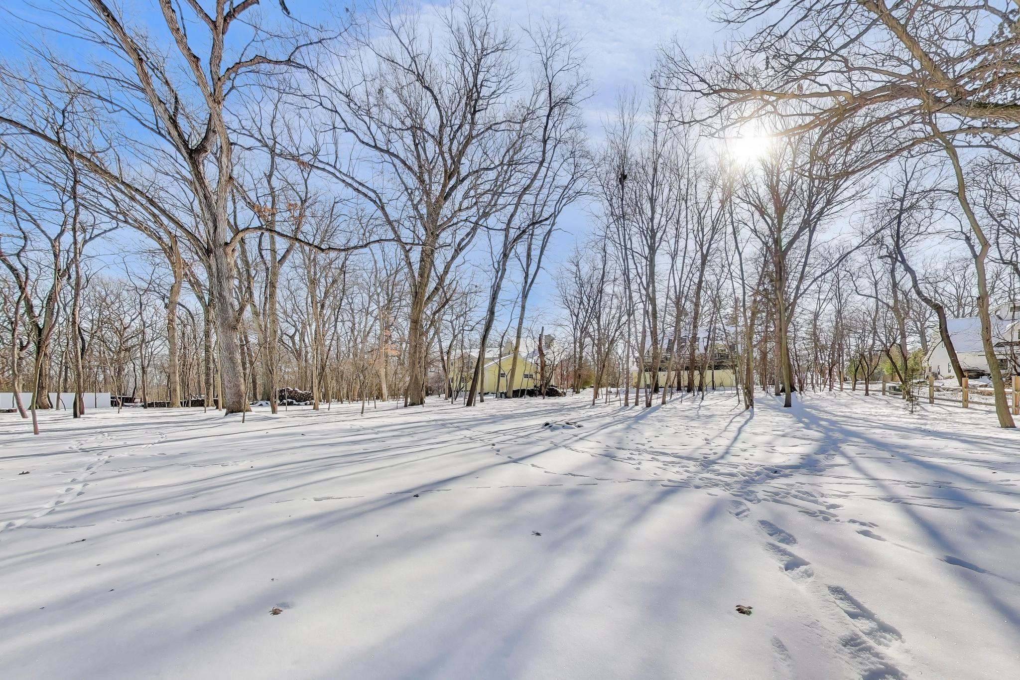 2403 Quiet Lane Delavan, WI 53115 - Photo 32 of 36 Backyard