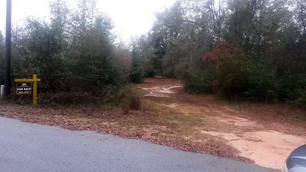 7655 Henderson Smith Road Milton, FL 32570 - Photo 2 of 31 Gallery Image 2
