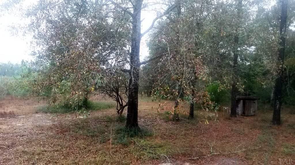 7655 Henderson Smith Road Milton, FL 32570 - Photo 25 of 31 Gallery Image 25
