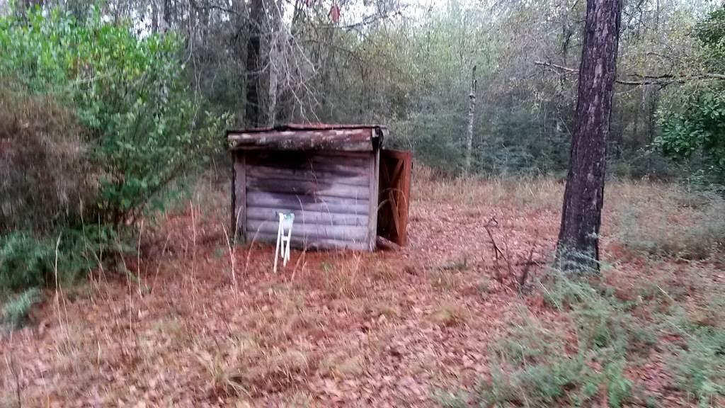 7655 Henderson Smith Road Milton, FL 32570 - Photo 26 of 31 Gallery Image 26