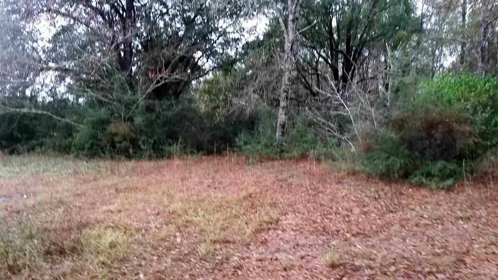7655 Henderson Smith Road Milton, FL 32570 - Photo 28 of 31 Gallery Image 28