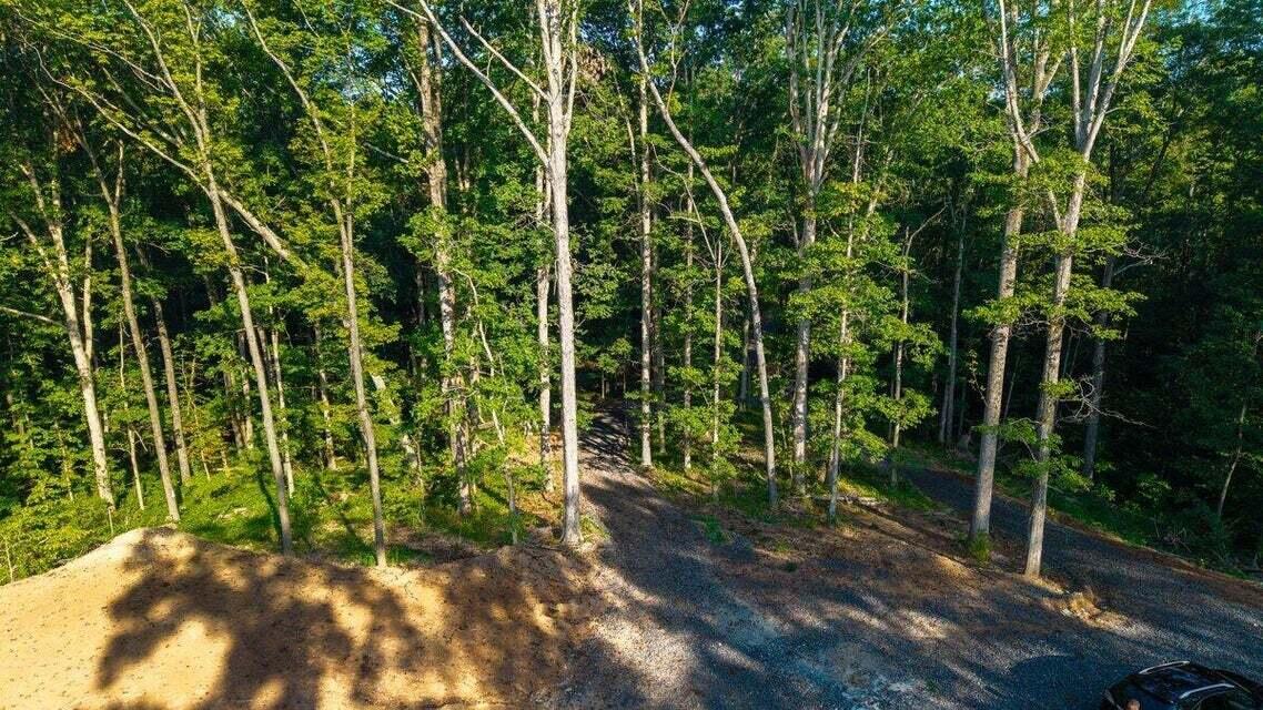 O Old River Road Northwest Charleston, TN 37310 - Photo 29 of 50 20250730181558501609000000-o