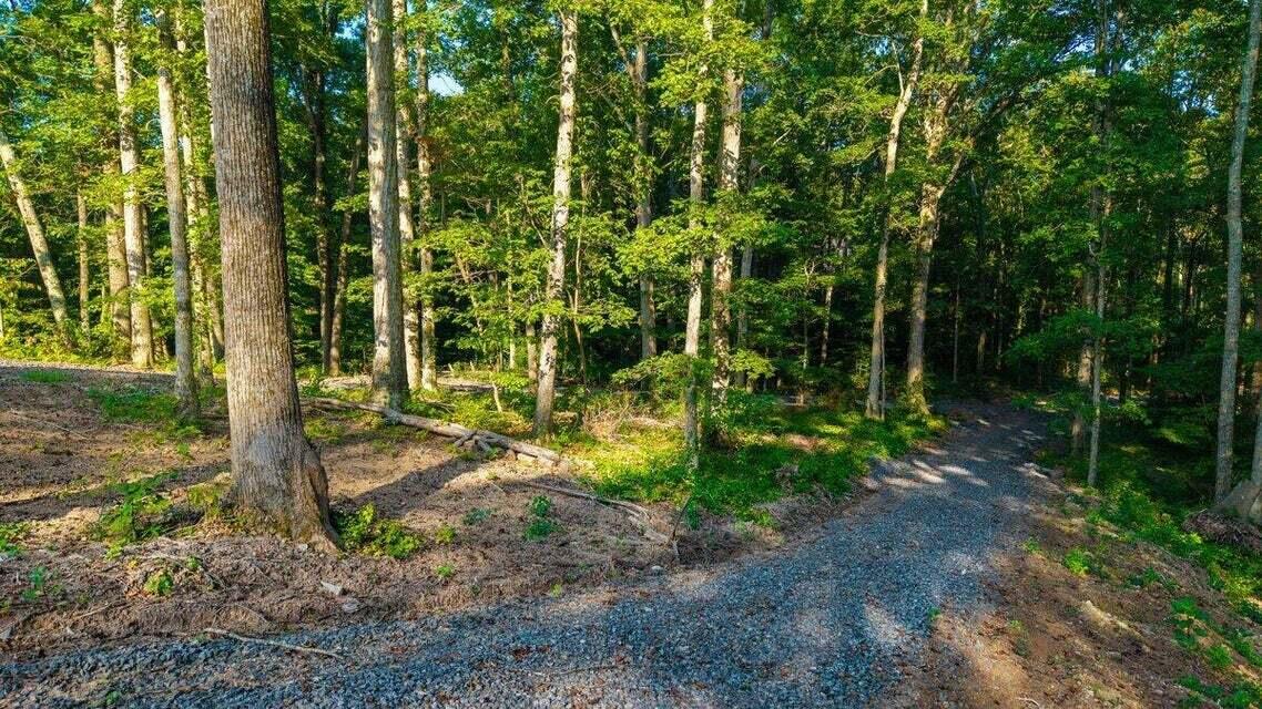 O Old River Road Northwest Charleston, TN 37310 - Photo 30 of 50 20250730181559375277000000-o