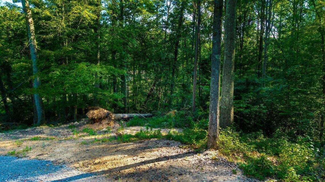 O Old River Road Northwest Charleston, TN 37310 - Photo 33 of 50 20250730181604926287000000-o