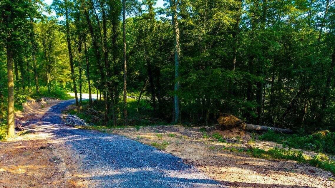 O Old River Road Northwest Charleston, TN 37310 - Photo 4 of 50 20250730181604429087000000-o