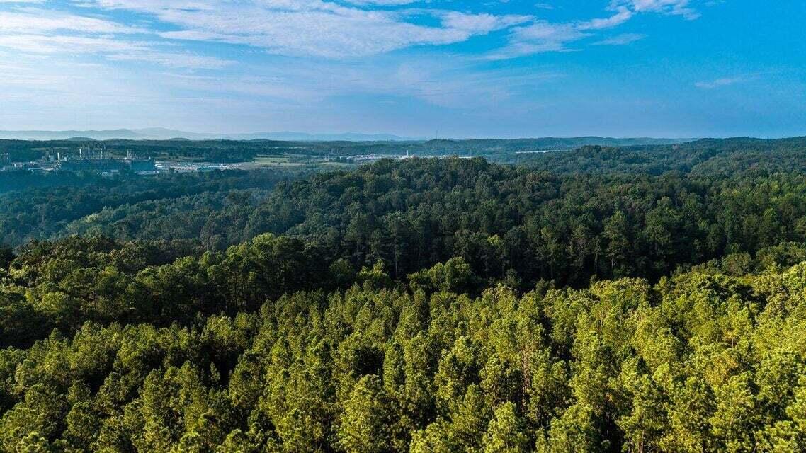 O Old River Road Northwest Charleston, TN 37310 - Photo 41 of 50 20250730181548248731000000-o