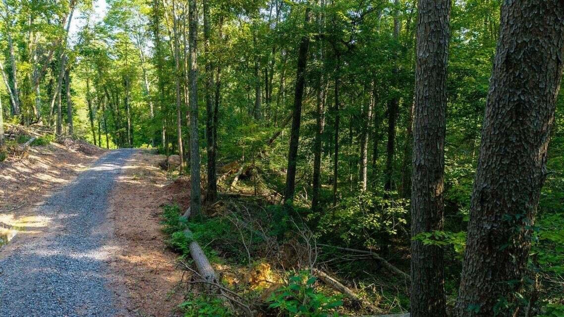 O Old River Road Northwest Charleston, TN 37310 - Photo 6 of 50 20250730181602603021000000-o