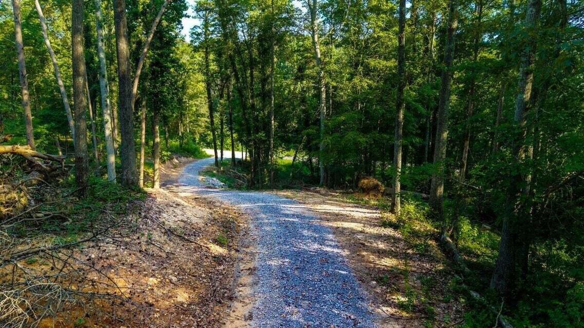 O Old River Road Northwest Charleston, TN 37310 - Photo 7 of 50 20250730181603514702000000-o