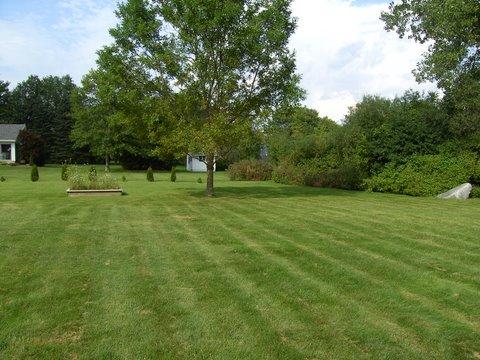 81 Stonehenge Road Pittsfield, MA 01201 - Photo 8 of 10 back yard