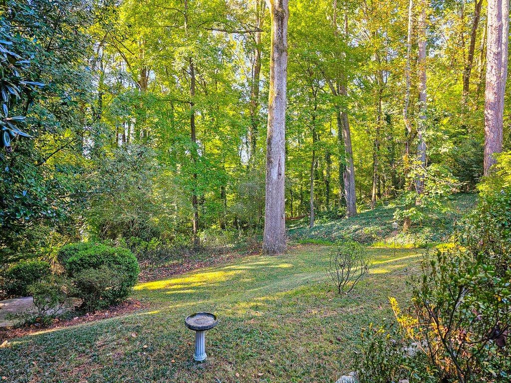 1125 Willivee Drive Decatur, GA 30033 - Photo 23 of 25