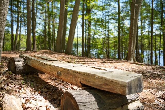 55 Lower Oak Point Road Winterport, ME 04496 - Photo 7 of 31
