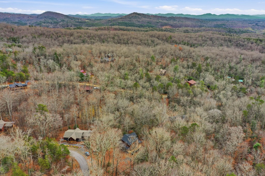648 Stuart Mountain Road Mineral Bluff, GA 30559 - Photo 11 of 38