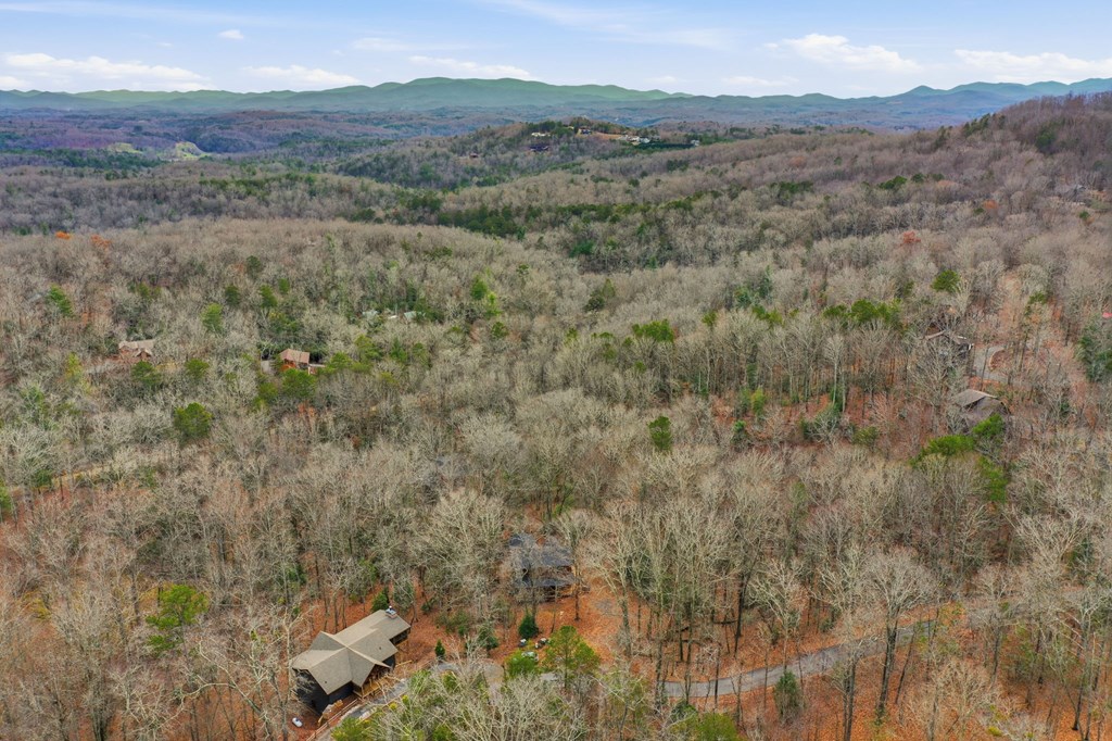 648 Stuart Mountain Road Mineral Bluff, GA 30559 - Photo 12 of 38