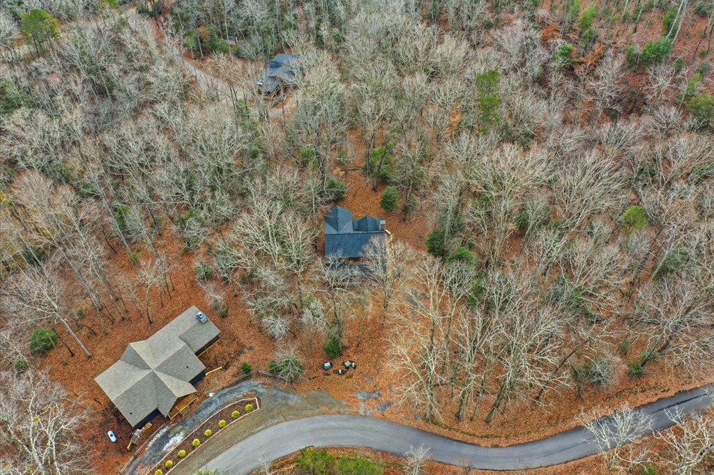 648 Stuart Mountain Road Mineral Bluff, GA 30559 - Photo 13 of 38