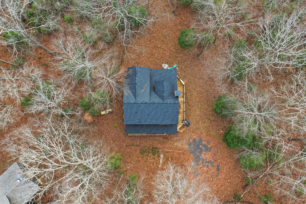 648 Stuart Mountain Road Mineral Bluff, GA 30559 - Photo 9 of 38