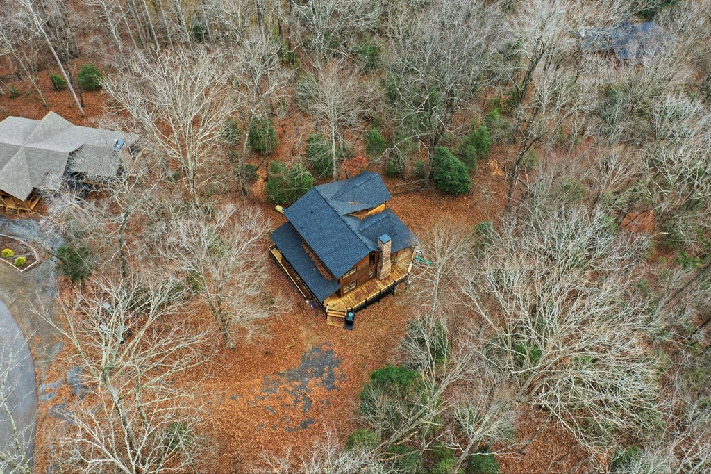 648 Stuart Mountain Road Mineral Bluff, GA 30559 - Photo 10 of 38