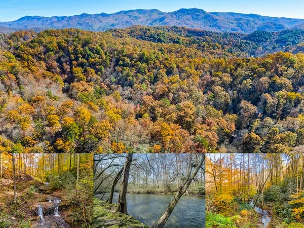 $199,800 | 0 Jasmine Drive, Marble, NC 28905