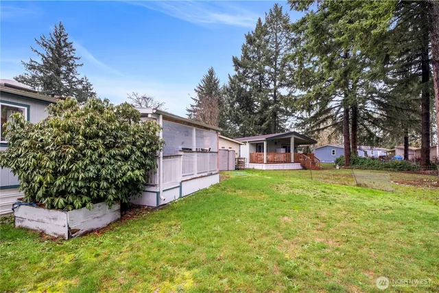 a view of a big yard with plants and large trees