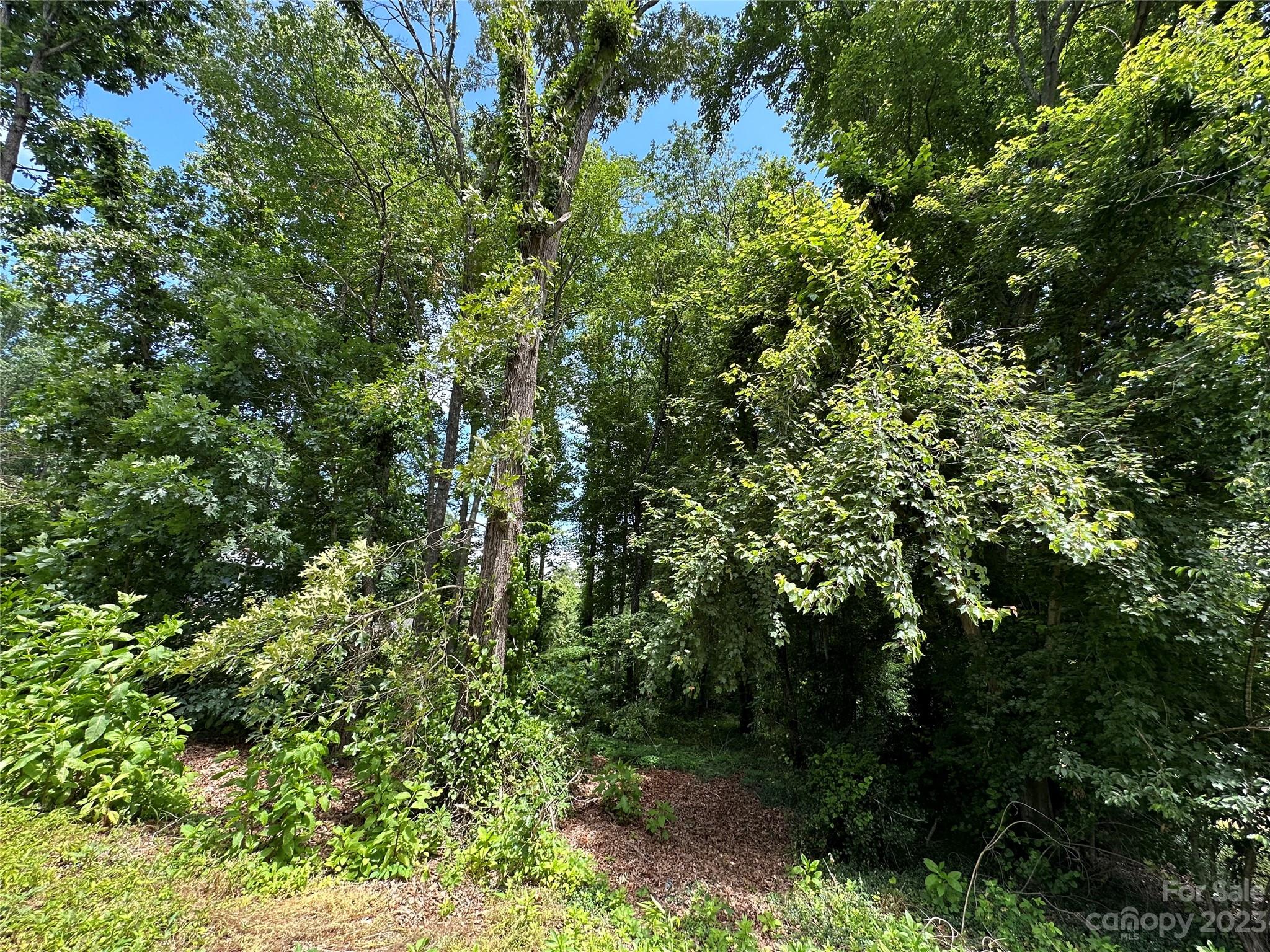 0 Brandon Road Morganton, NC 28655 - Photo 2 of 6 Gallery Image 2