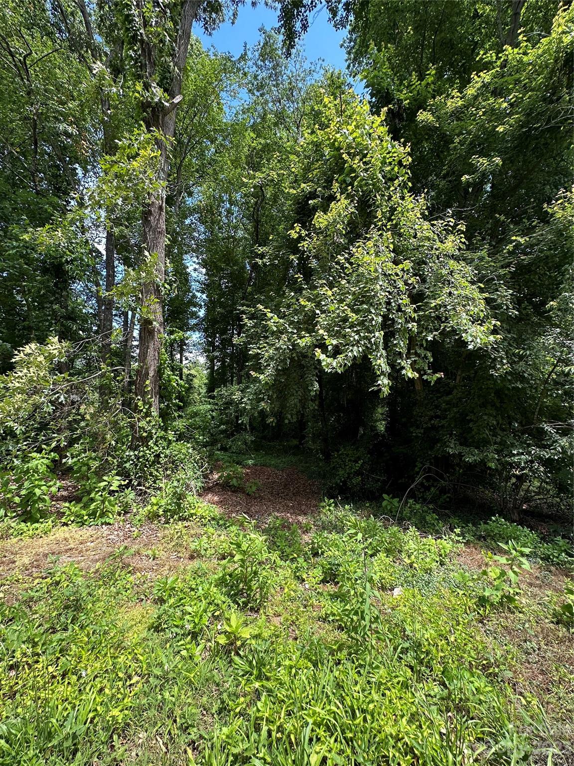0 Brandon Road Morganton, NC 28655 - Photo 5 of 6 Gallery Image 5