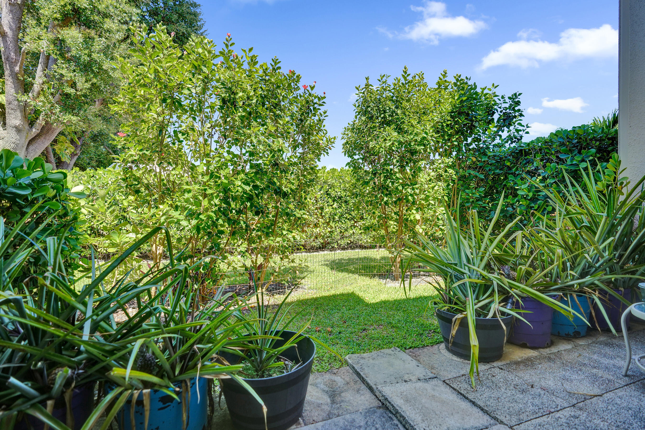 5201 West Club Circle, Unit 103 Boca Raton, FL 33487 - Photo 28 of 40 BACKYARD VIEW