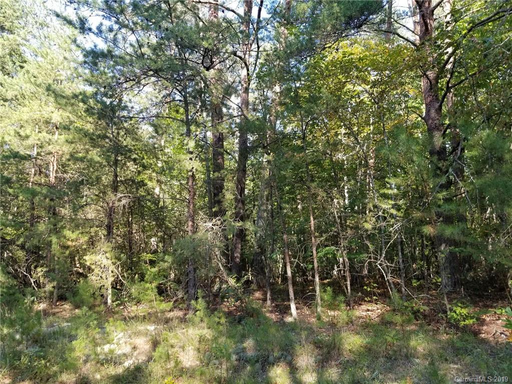 62 Providence Church Road Vale, NC 28168 - Photo 12 of 15 Gallery Image 12