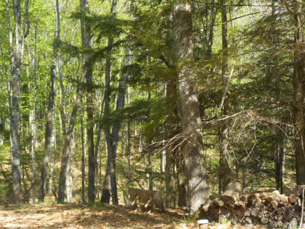 N10532 Walleye Road Pearson, WI 54462 - Photo 3 of 24 Gallery Image 3