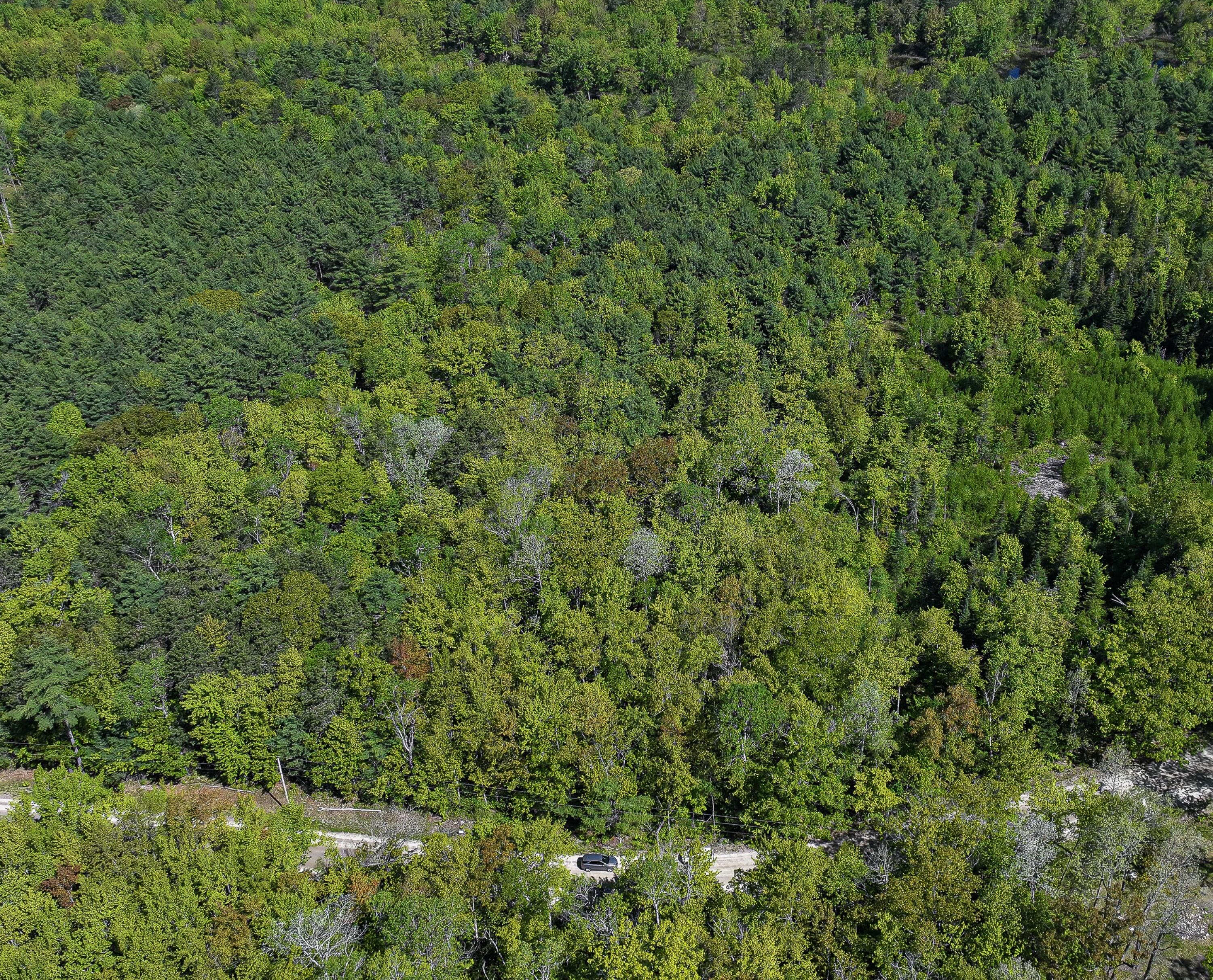 Lot 002-00 Riverbend Road Brownfield, ME 04010 - Photo 1 of 15 2 river bend road-4