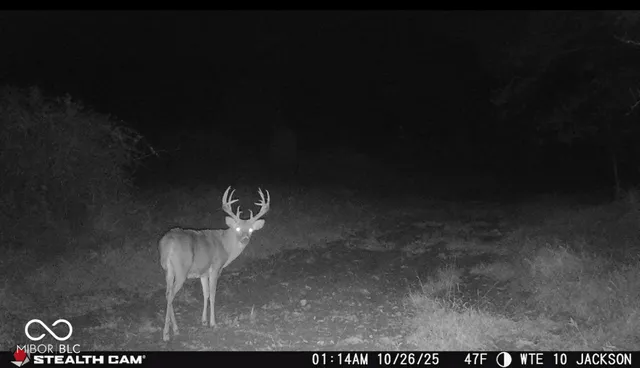 $518,280 | 2000-block West 1125th North, Freetown, IN 47235