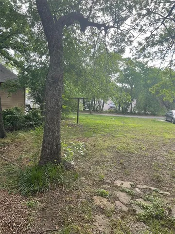 a view of a field with a tree