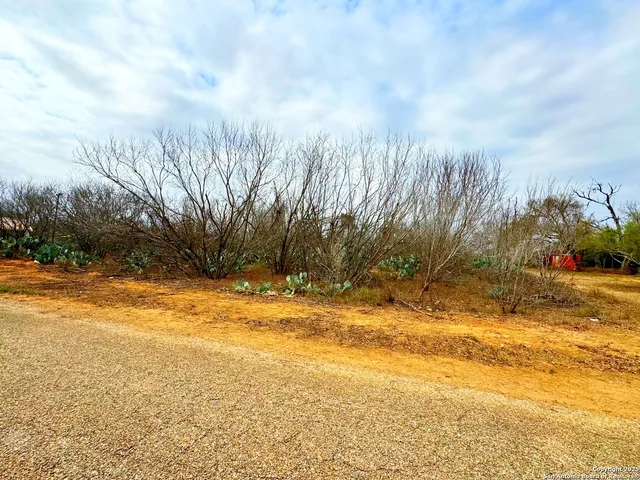$10,900 | Tbd Old Hwy 81, Moore, TX 78057