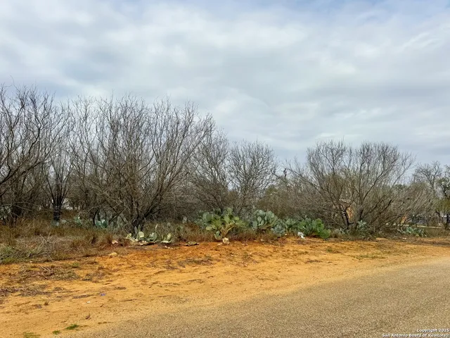 $10,900 | Tbd Old Hwy 81, Moore, TX 78057