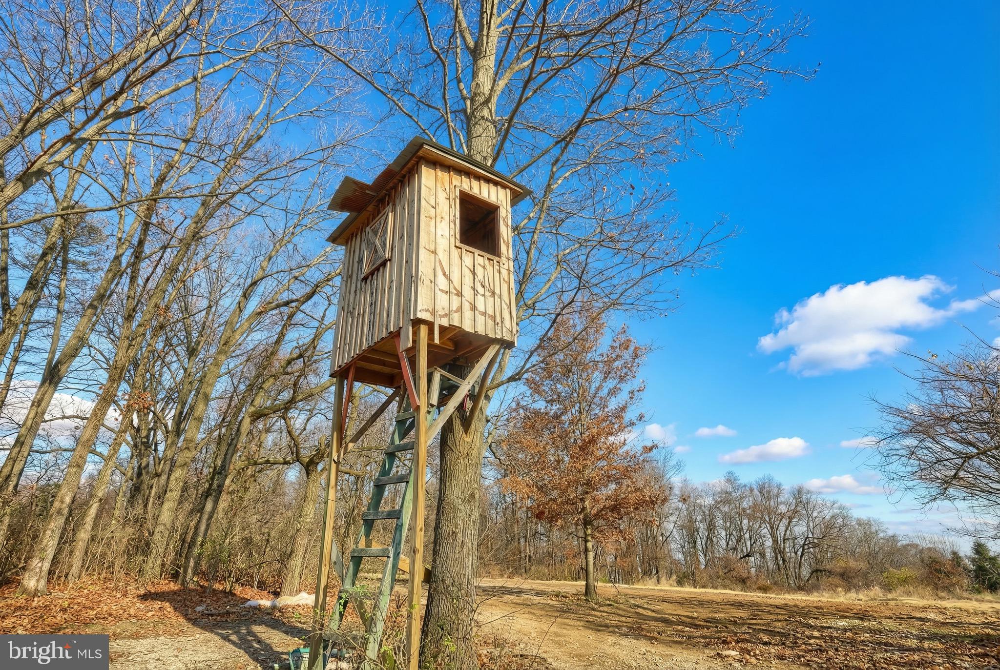 5077 Snyder Mill Road Spring Grove, PA 17362 - Photo 54 of 71 a yellow house with trees in front of it